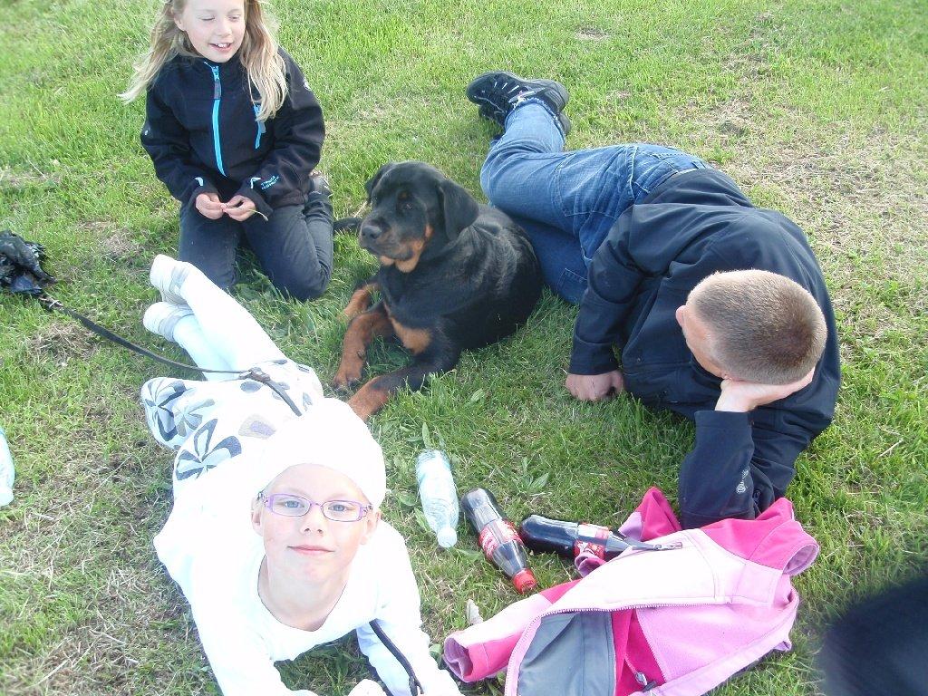 Rottweiler Zonar - Familie hygge! :) billede 11