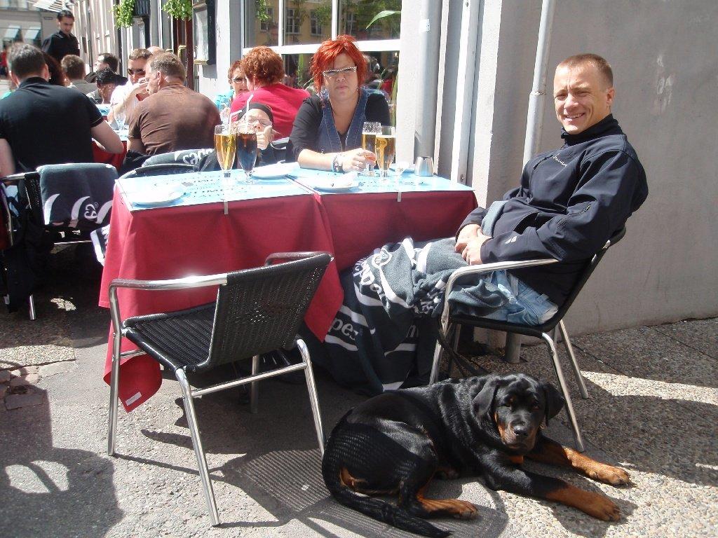 Rottweiler Zonar - Han var også med inde i byen! det tog han bare helt cool! <3  billede 14
