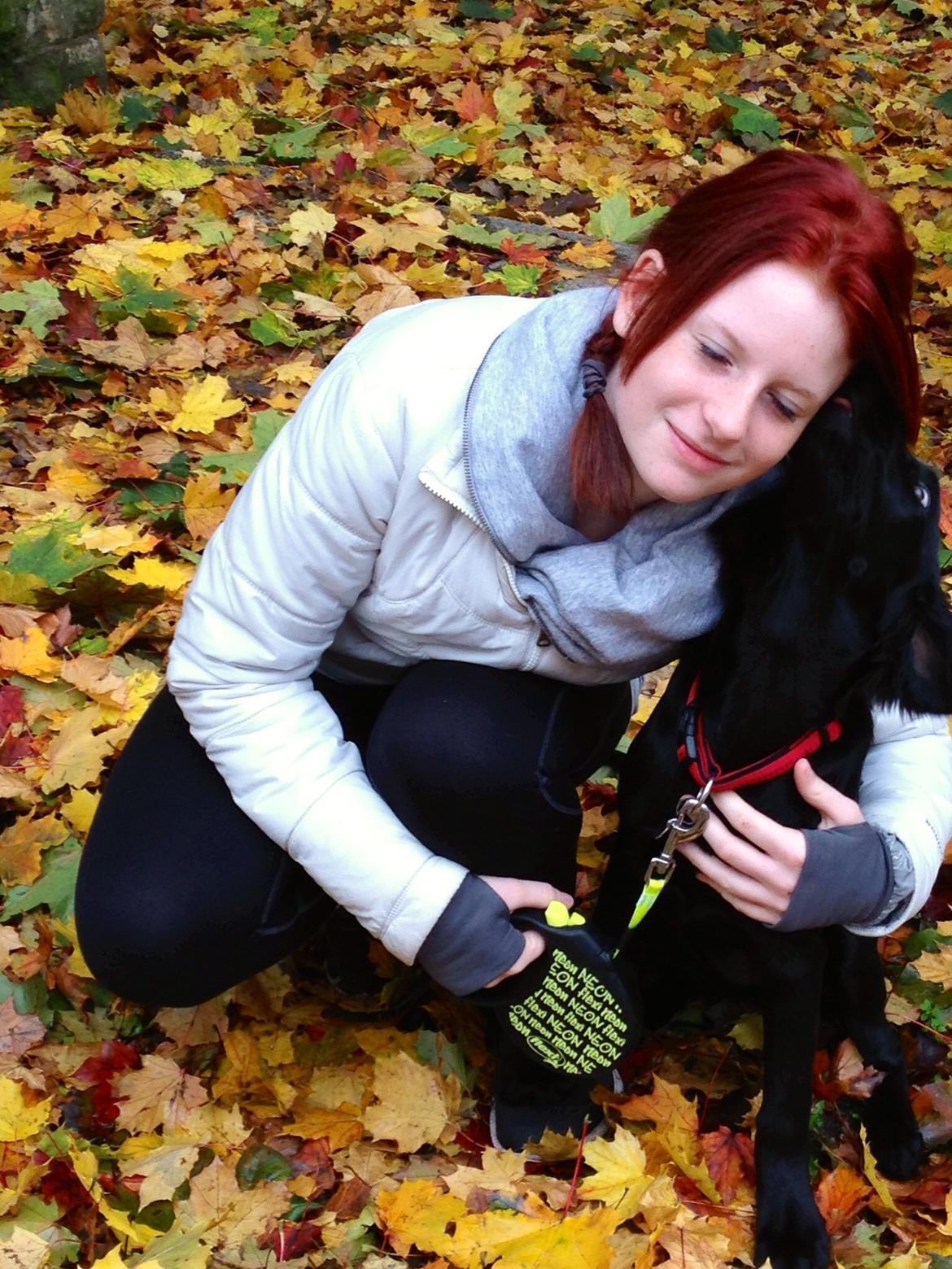 Blanding af racer Sia billede 29