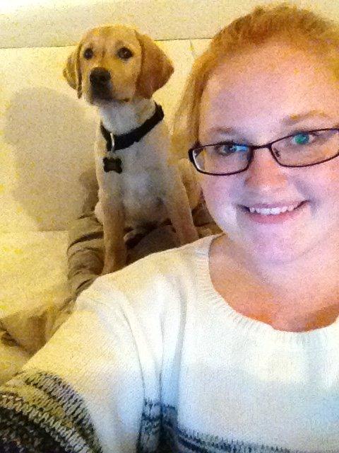 Labrador retriever Carlos billede 7