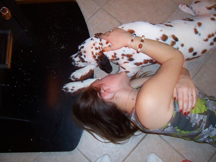 {{currentPhoto.altText}} billede {{currentPhoto.number}}