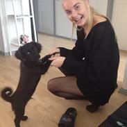 Blanding af racer Spike