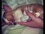 Chihuahua Tuffi