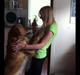 Golden retriever Speedy