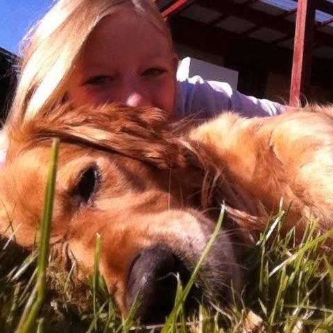 Golden retriever Speedy billede 5
