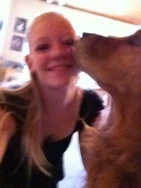 Golden retriever Speedy billede 13