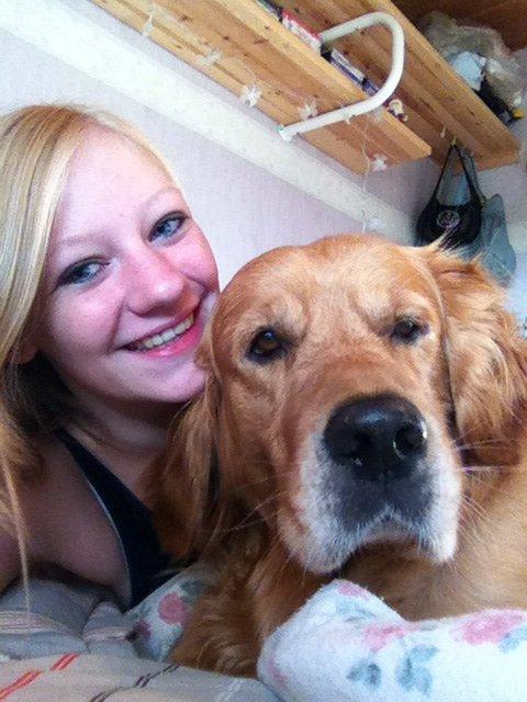 Golden retriever Speedy billede 17