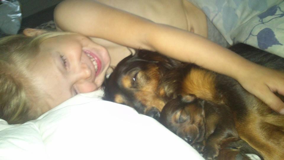 Gravhund Maggie billede 7