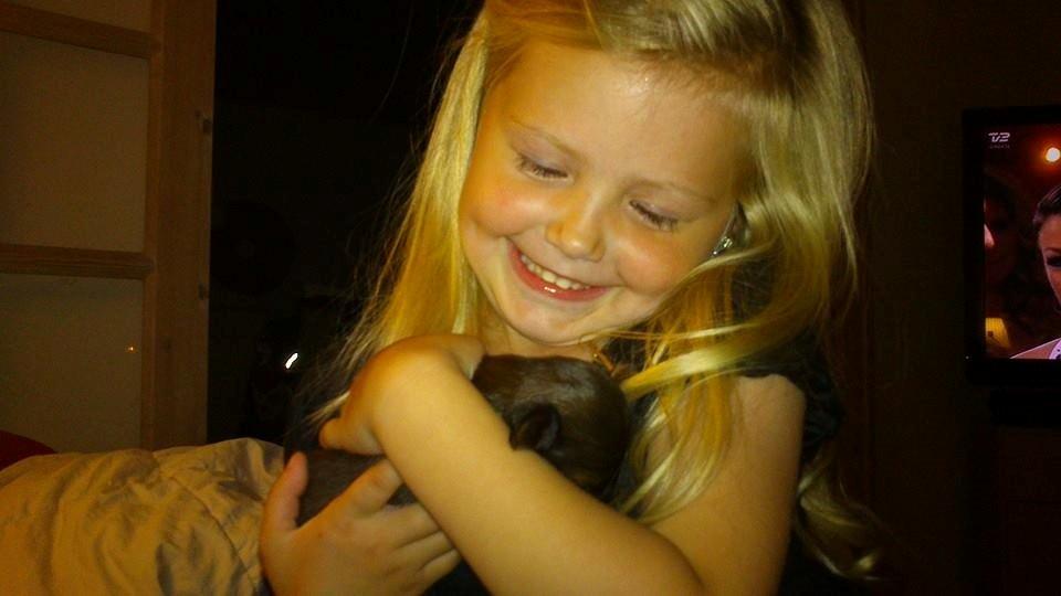 Gravhund Maggie billede 13