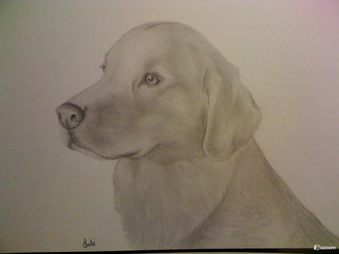 Blanding af racer †Puk† - Emilie,k som har tening puk :) billede 33