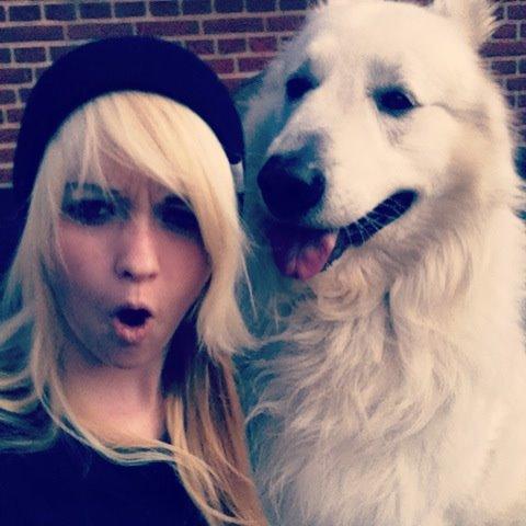 Hvid schæfer Valle billede 8