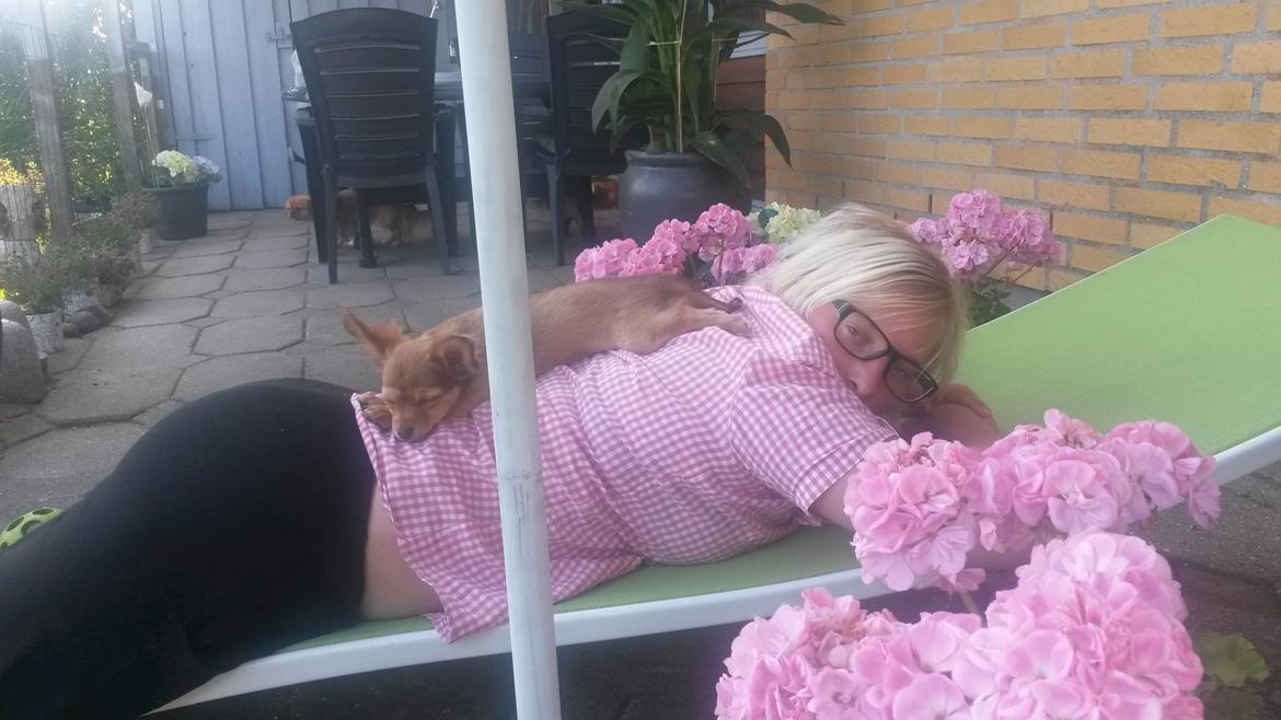 Blanding af racer Molly billede 12