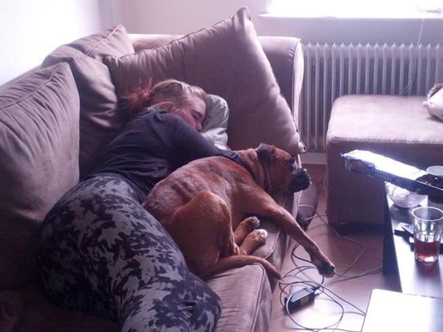 Blanding af racer Emma billede 2