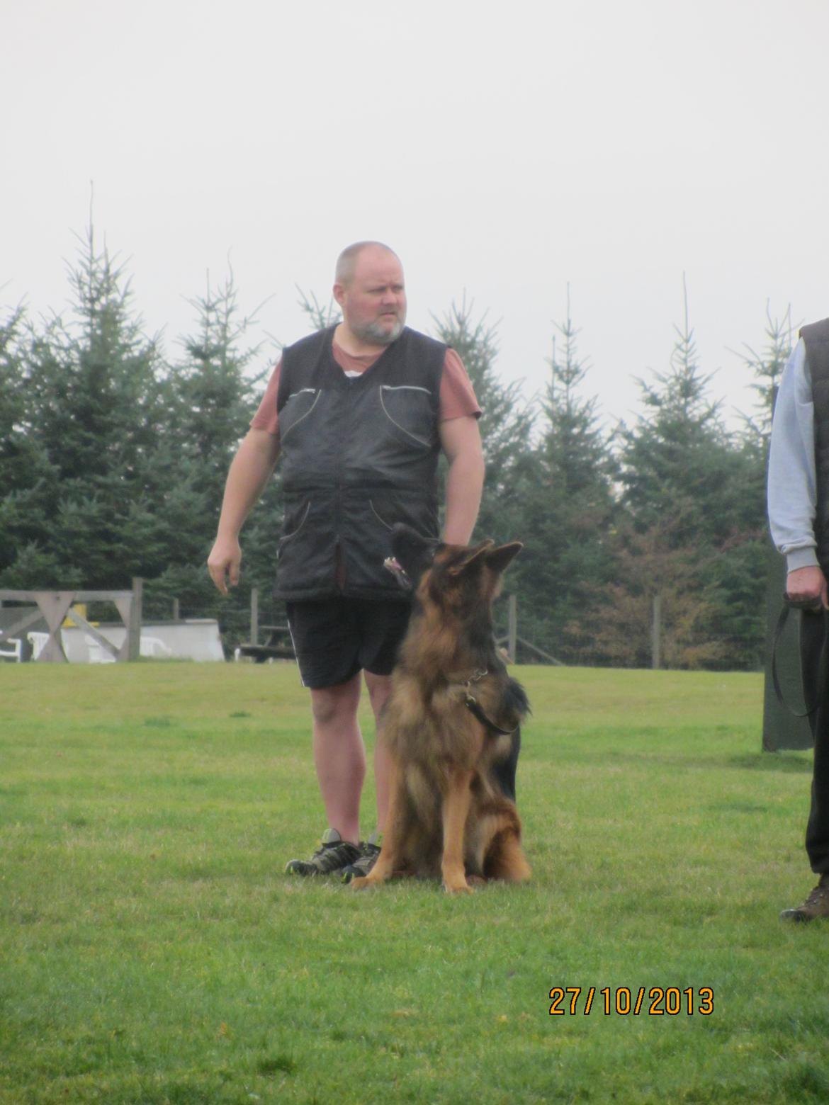 Schæferhund Akacias Quando - FP 27. oktober 2013 billede 24