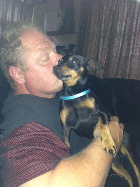 Dvaergpinscher Rødkildes Choko - hygge med farmand billede 13