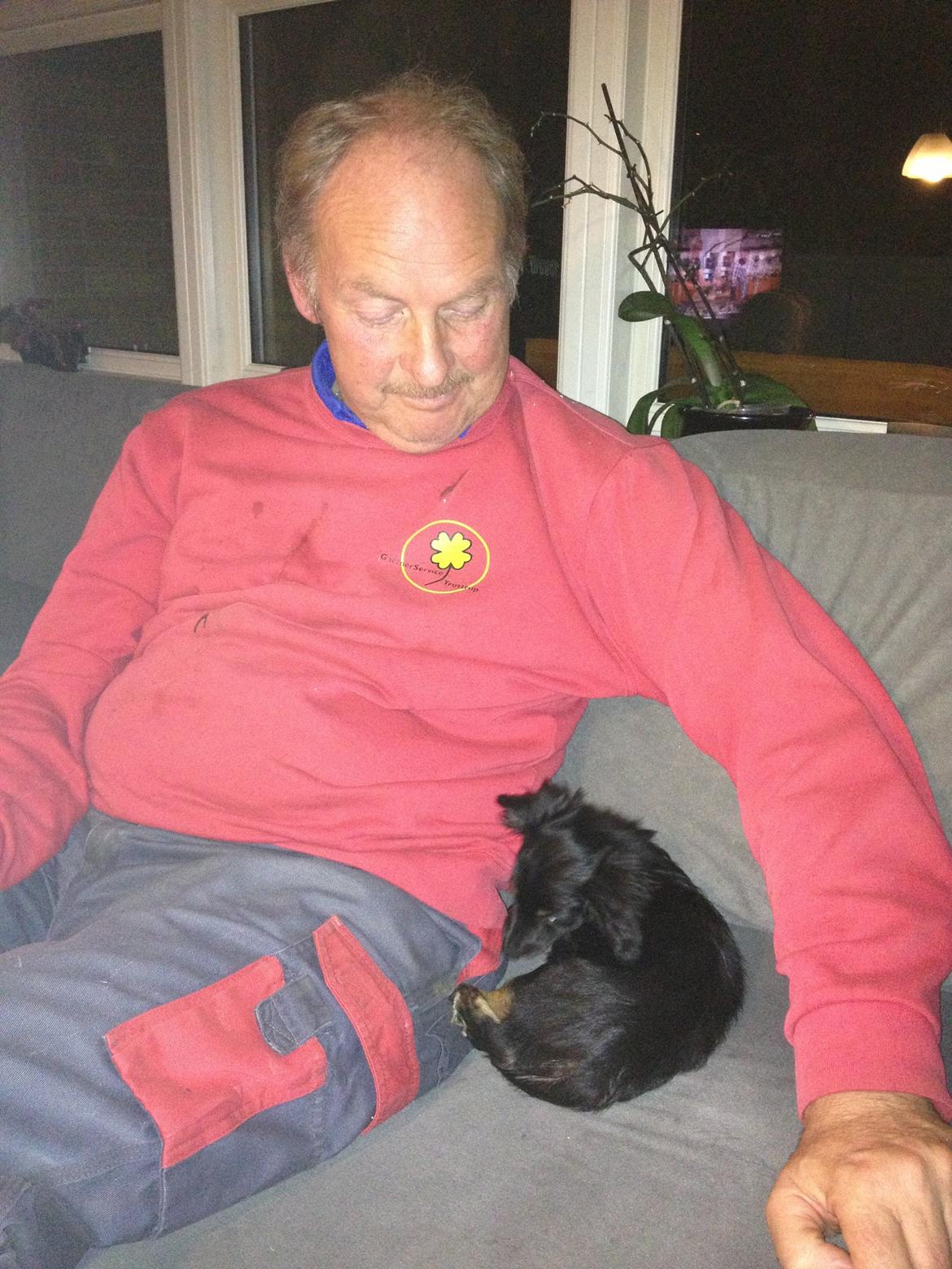 Blanding af racer Tessi - sidder lige ved farfar, det er hygge, især når han leger :) billede 13