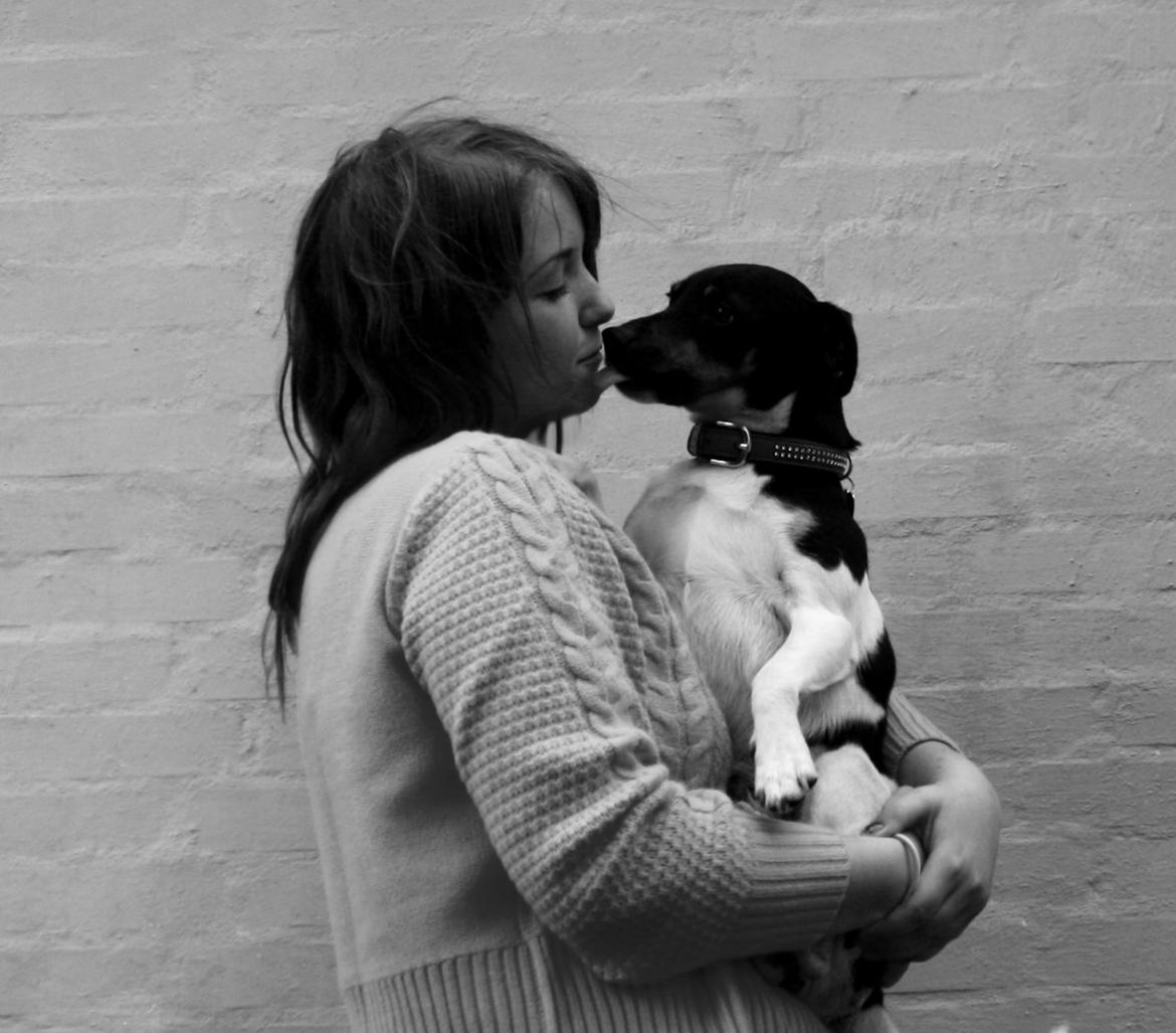 Dansk svensk gaardhund Harley Davidson billede 2