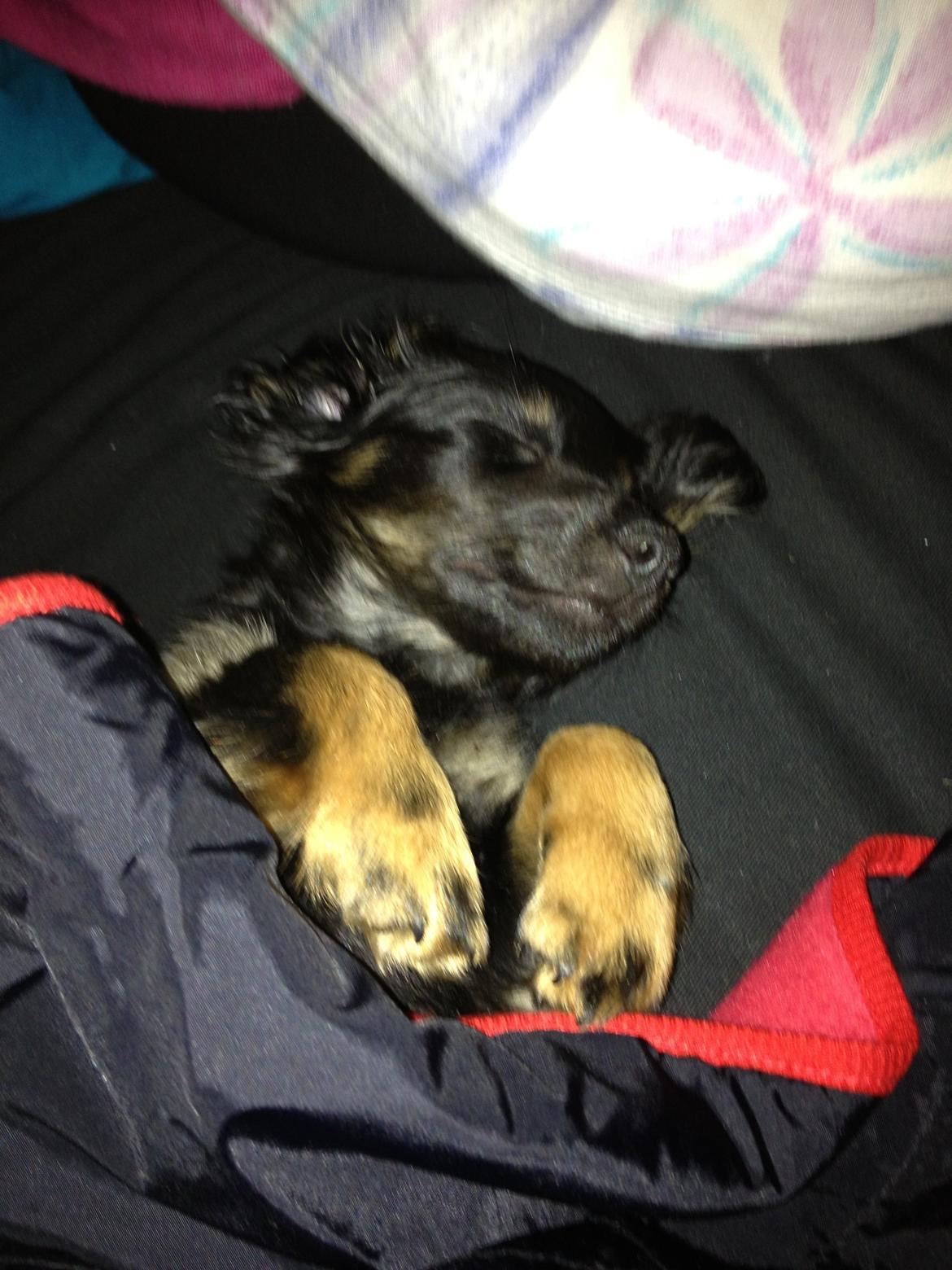 Blanding af racer Tessi - Så gik jeg kold igen  billede 18