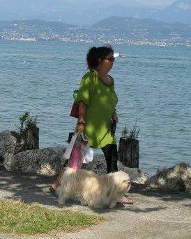 Lhasa apso Noah - På ferie ved Gardasøen med min mor (ja vi ligner hinanden) billede 4