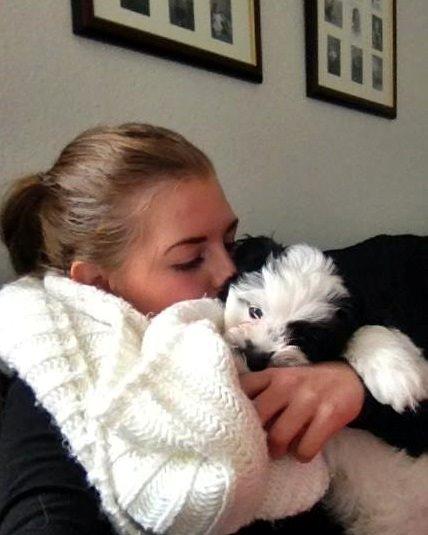 Blanding af racer Nala billede 2