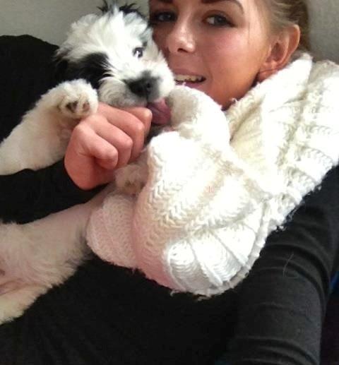 Blanding af racer Nala billede 1