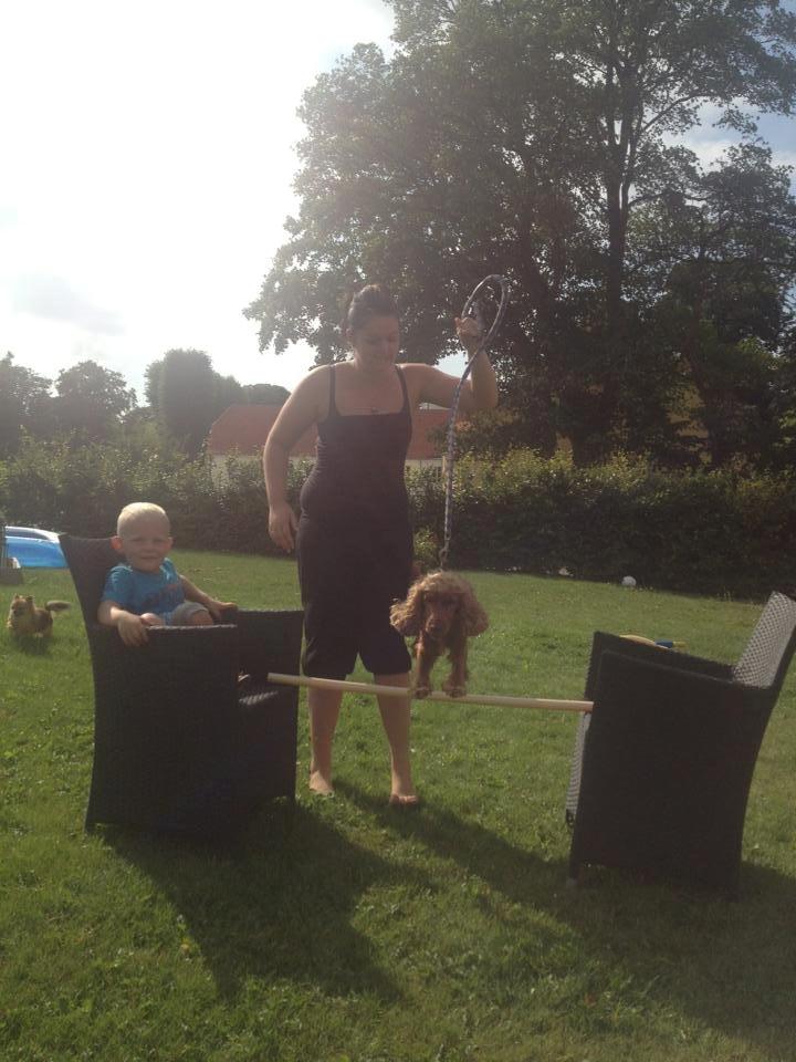 Cocker spaniel chanel (R.I.P. SMUKKE HUND billede 17