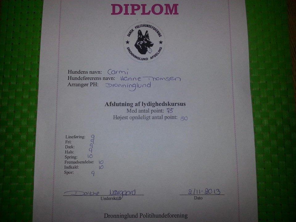 Rottweiler Lijepo´s Carmi - Diplom fra vores afsluttende prøve i lydighed for hvalpe. Vi blev nr 1 ud af 15. Super flot af Carmi.  billede 14