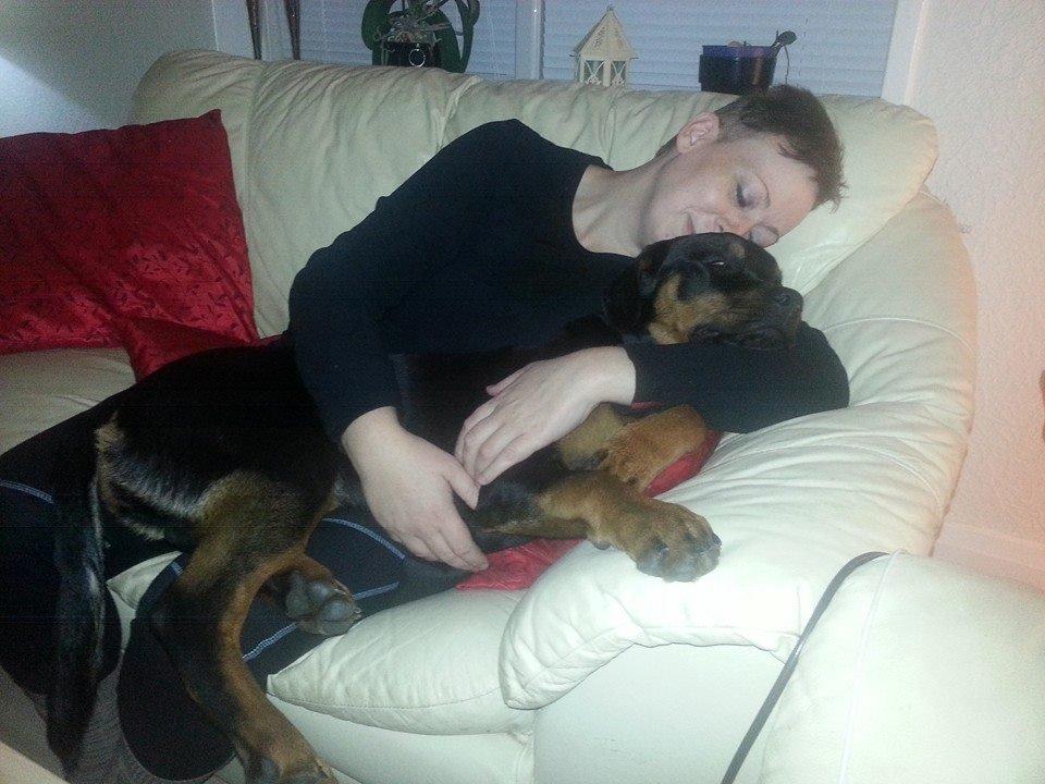 Rottweiler Lijepo´s Carmi billede 15