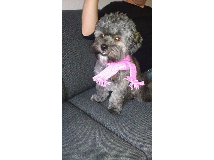 {{currentPhoto.altText}} billede {{currentPhoto.number}}