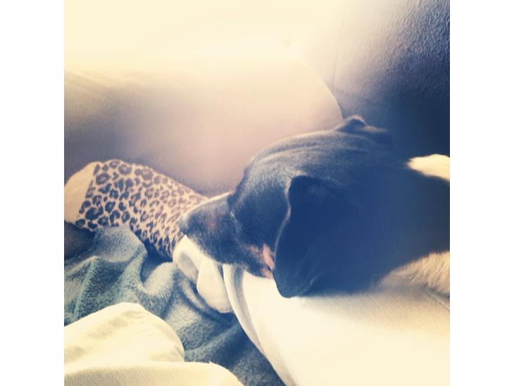 {{currentPhoto.altText}} billede {{currentPhoto.number}}