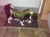 Papillon regitze