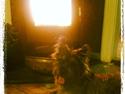 Cairn terrier Karlo