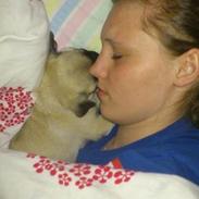 Mops Karla