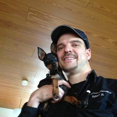 Blanding af racer Audi