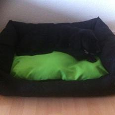 Blanding af racer Yoda