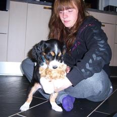 Blanding af racer Cody