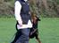 Dobermann Destiny´s Phoenix In The Spotlight aka Bentley