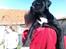 Blanding af racer Trixi (tidl hund)