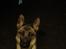 Schæferhund Oline(Tidl. Hund)