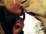 Golden retriever Bertha *Tricksdyret*<33