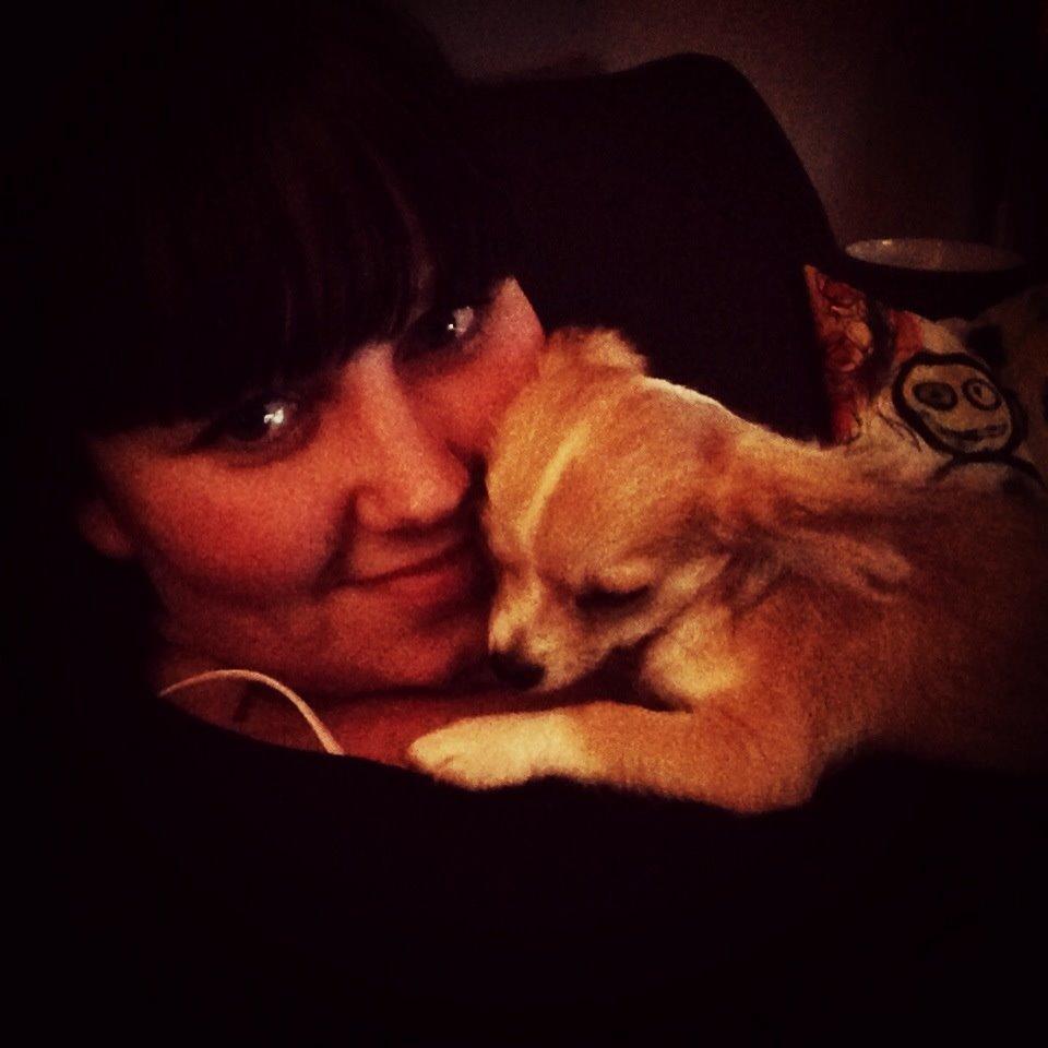 Chihuahua Milo [RIP] billede 2