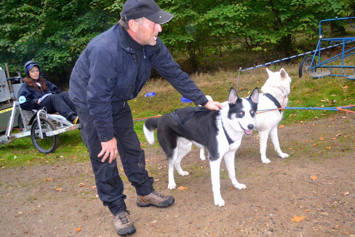 Blanding af racer Blaze billede 20