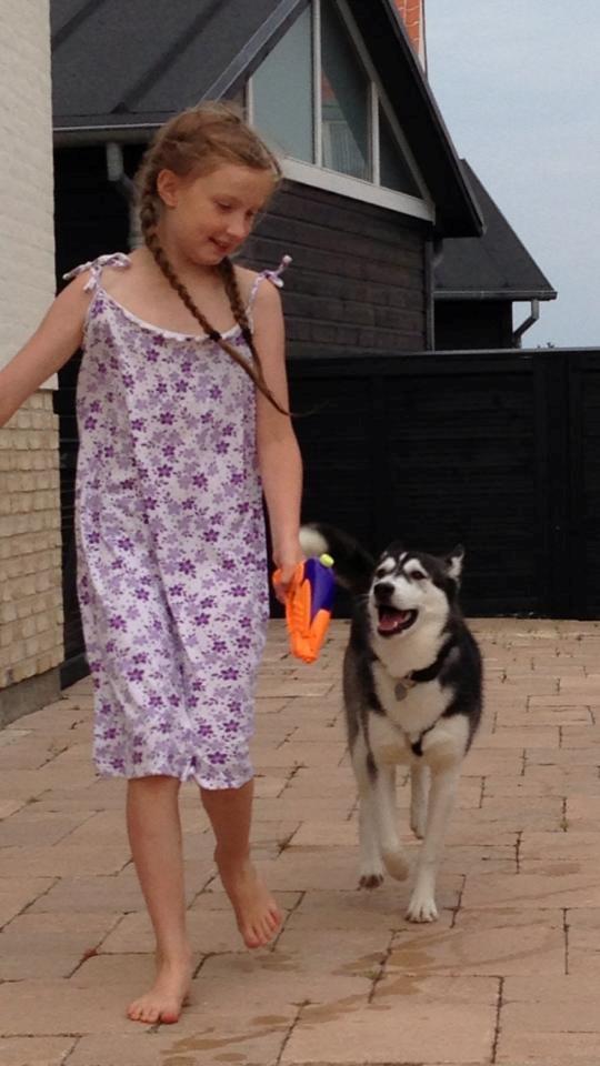 Siberian husky Miriel - Missen leger med vandpistol sammen med min lillesøster billede 26