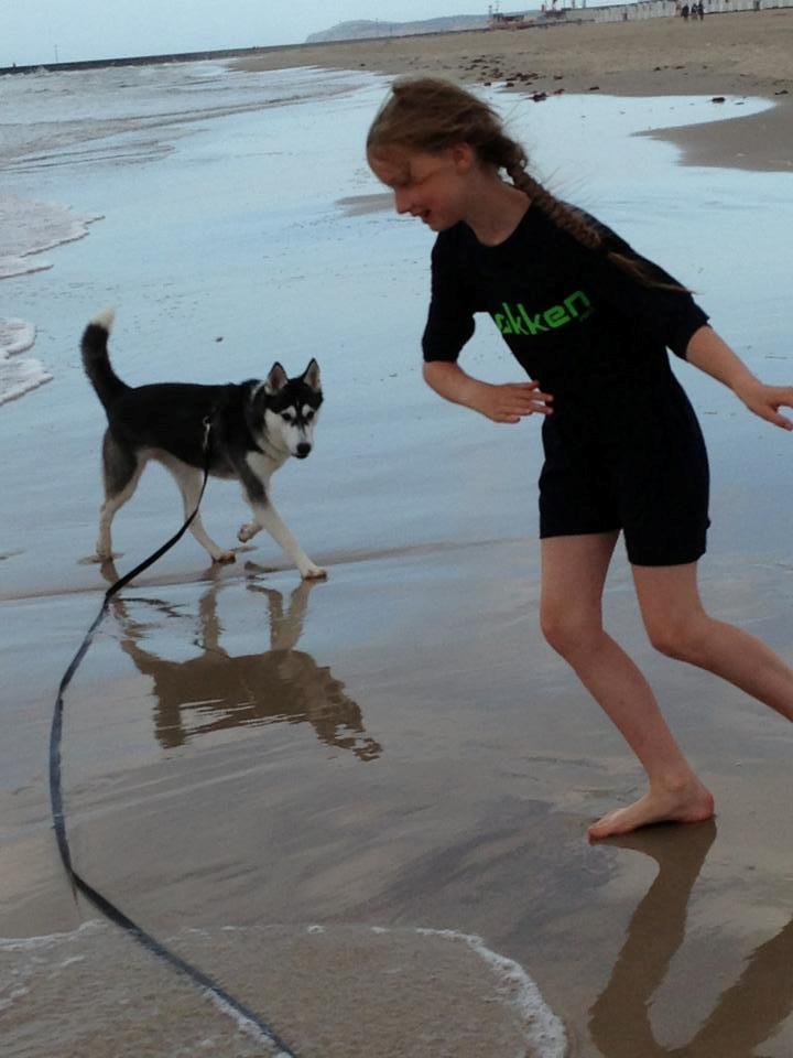 Siberian husky Miriel - Stranden billede 31