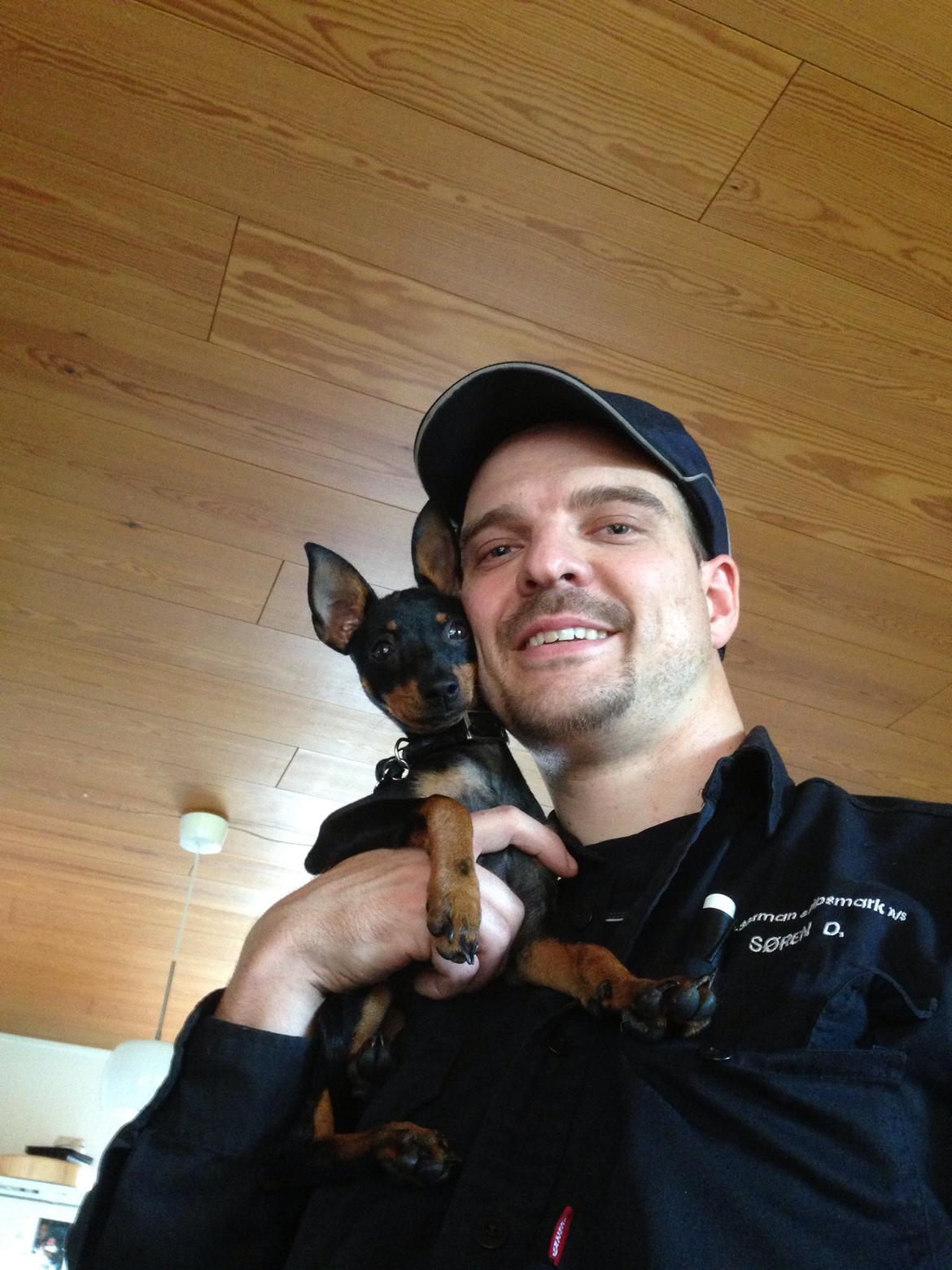 Blanding af racer Audi billede 3