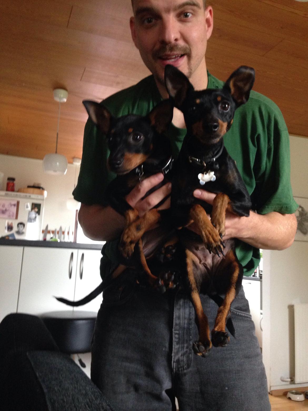 Blanding af racer Audi billede 4