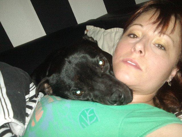 Staffordshire bull terrier Zicki billede 13