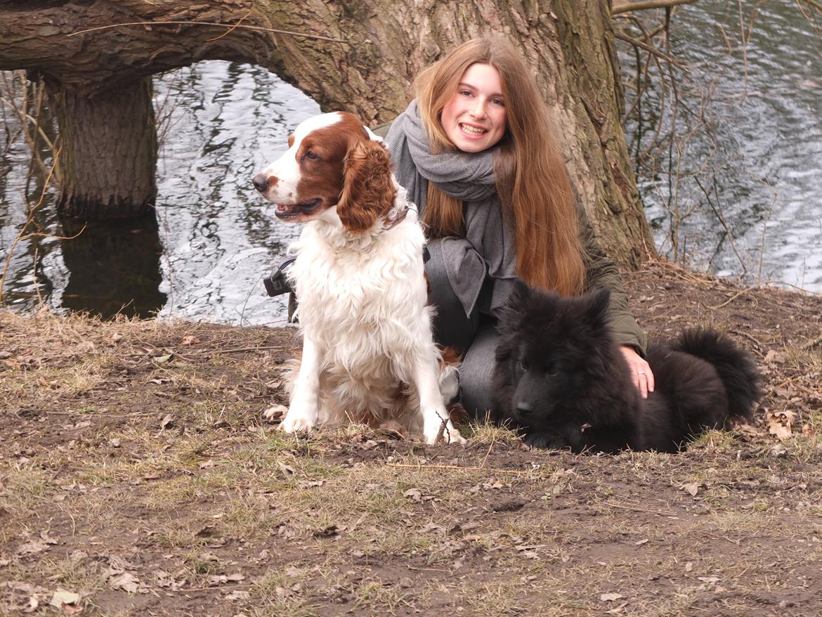 Eurasier Lupo - På tur med Lupo og hans bedste ven Lucas :) billede 5