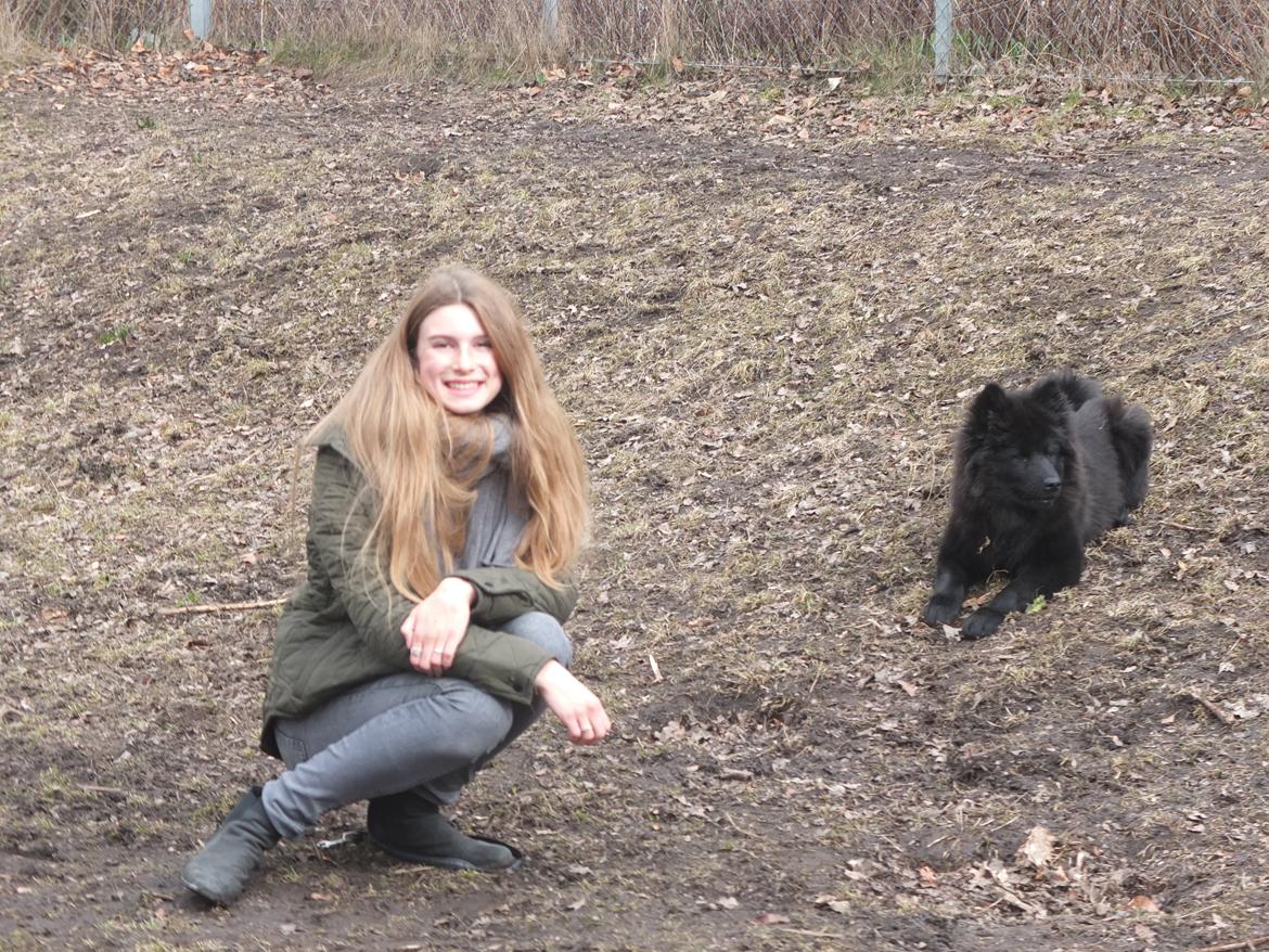 Eurasier Lupo - Tak for besøget! :) billede 16