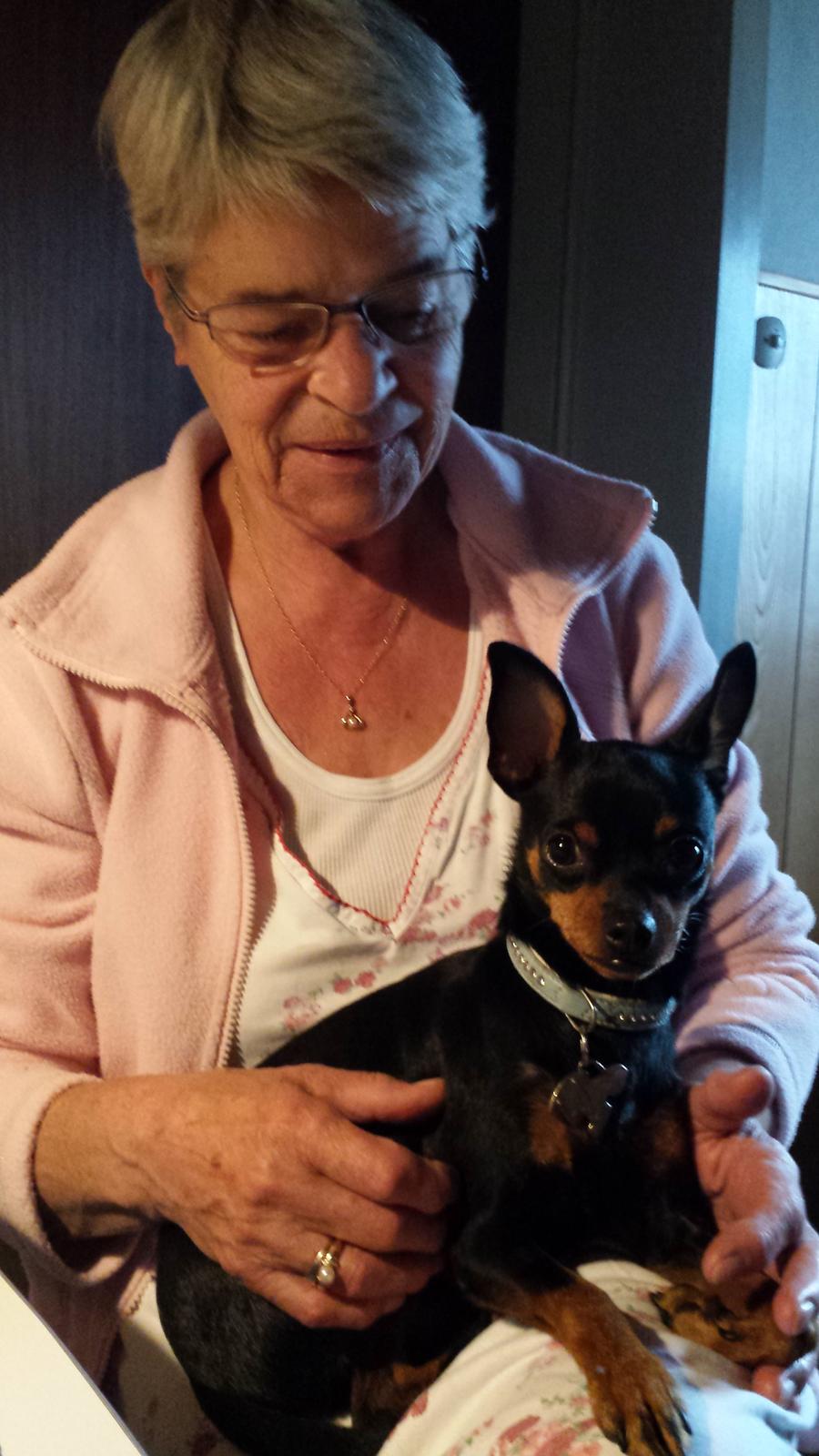 Blanding af racer Ninja *pivdyr* - På skødet af "oldemor" (Min farmor) Oktober 2013 billede 35